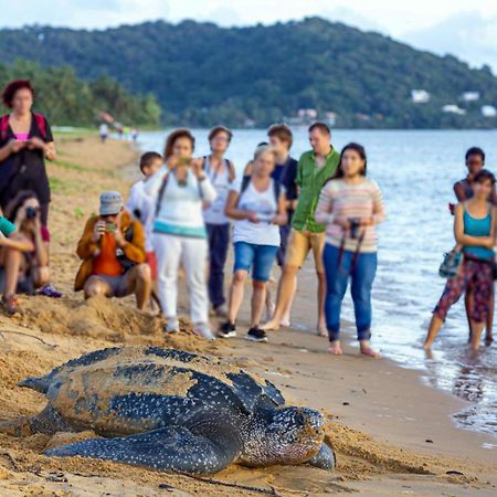 Le Petit Marin Des Salines A 0 Metre De La Plage Remire-Montjoly Екстер'єр фото